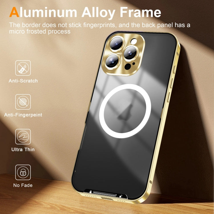 For iPhone 16 Pro Frosted MagSafe Magnetic Metal Phone Case(Gold) - iPhone 16 Pro Cases by buy2fix | Online Shopping UK | buy2fix