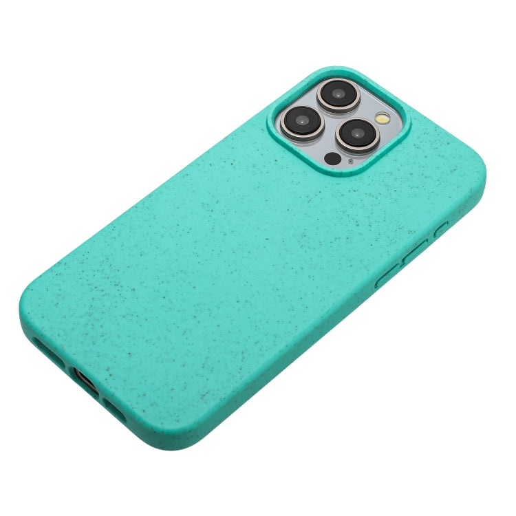 For iPhone 12 Pro Max Wheat MagSafe Magnetic Straw Material + TPU Phone Case(Green) - iPhone 12 Pro Max Cases by buy2fix | Online Shopping UK | buy2fix