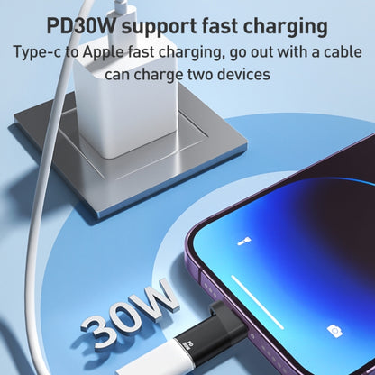 ADS-616A PD 30W 8 Pin Male to USB-C/Type-C Female Adapter(Gun Grey) - Converter & Adapter by buy2fix | Online Shopping UK | buy2fix