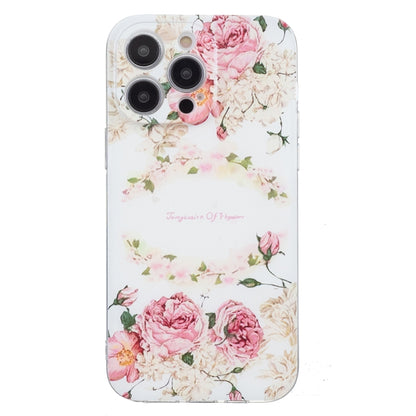 For iPhone 16 Pro Colored Drawing Pattern Transparent TPU Phone Case(Rose) - iPhone 16 Pro Cases by buy2fix | Online Shopping UK | buy2fix