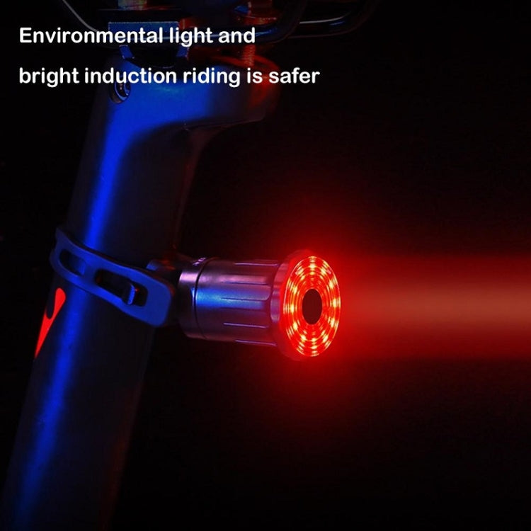 WEST BIKING Bicycle USB Charging Smart Brake Sensor Warning Tail Light(Sit Tube) - Taillights by WEST BIKING | Online Shopping UK | buy2fix