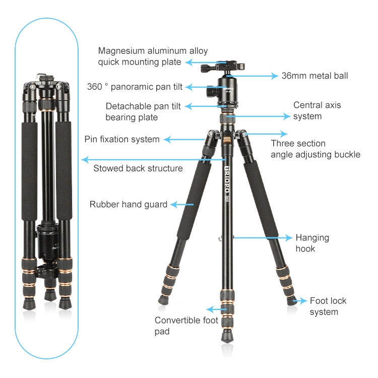 TRIOPO 554 Adjustable Portable  Aluminum Alloy Tripod with D-2A Ball Head for SLR Camera - Tripods by TRIOPO | Online Shopping UK | buy2fix