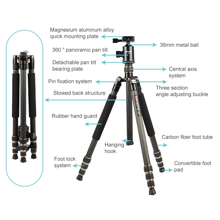 TRIOPO 853 Adjustable Portable Carbon Fiber Tripod with D2-A Ball Head for SLR Camera - Camera Accessories by TRIOPO | Online Shopping UK | buy2fix