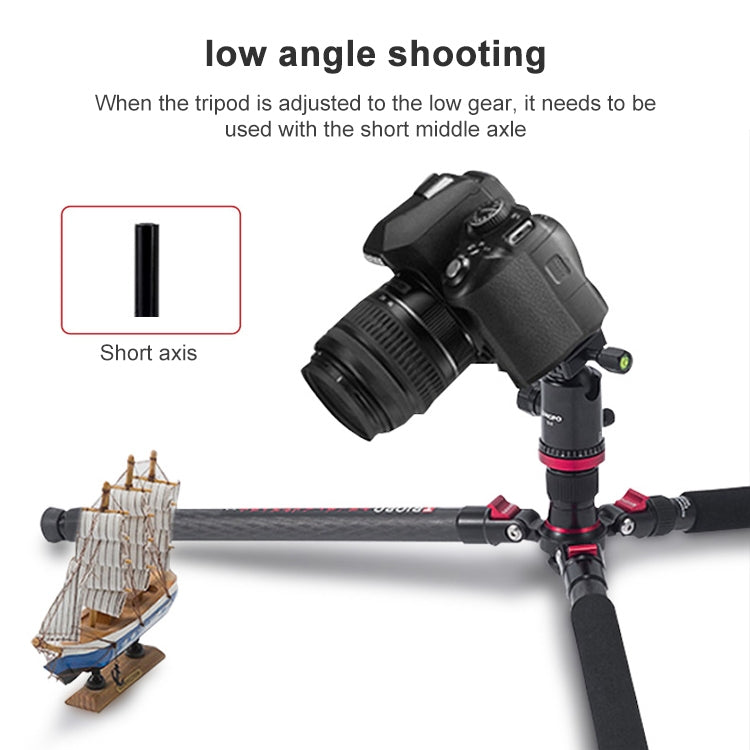 TRIOPO 888 Adjustable Portable Carbon Fiber Tripod with Q-2 Ball Head for SLR Camera, Pipe diameter: 28cm - Tripods by TRIOPO | Online Shopping UK | buy2fix