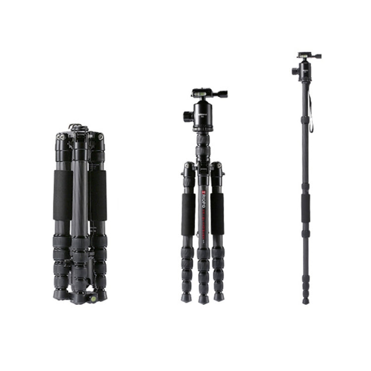 TRIOPO T259G+Q2 Adjustable Portable Carbon Fiber Tripod with Q-2 Ball Head for SLR Camera - Tripods by TRIOPO | Online Shopping UK | buy2fix