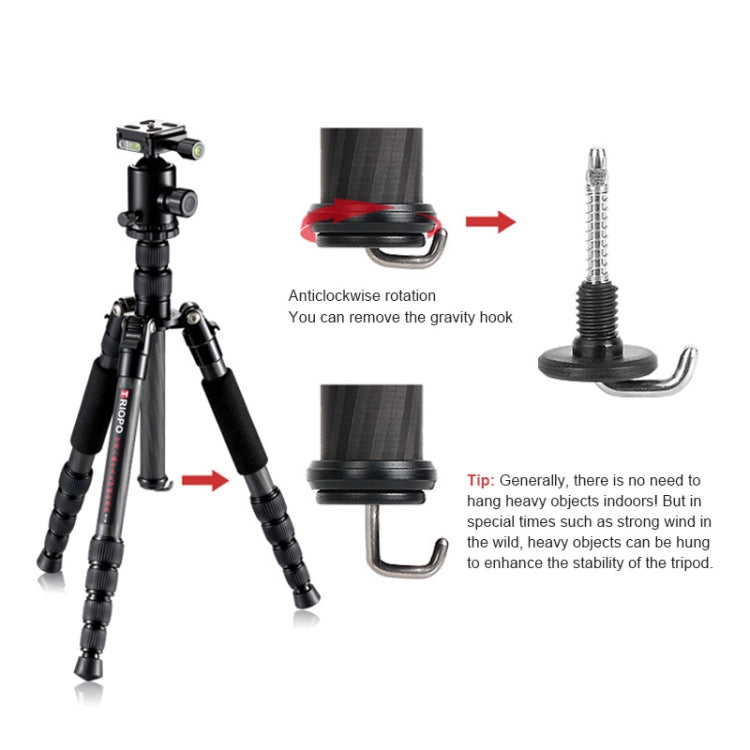 TRIOPO T259G+Q2 Adjustable Portable Carbon Fiber Tripod with Q-2 Ball Head for SLR Camera - Tripods by TRIOPO | Online Shopping UK | buy2fix