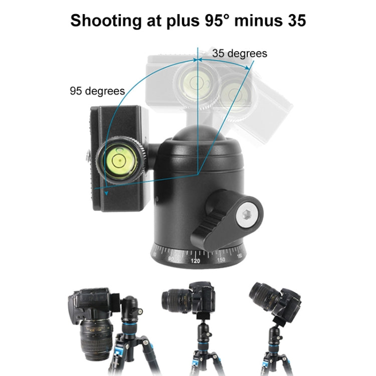 BEIXIN QB-30  360 Degree Rotation Panorama Metal Ball Head with Quick Release Plate - Tripod Heads by BEXIN | Online Shopping UK | buy2fix