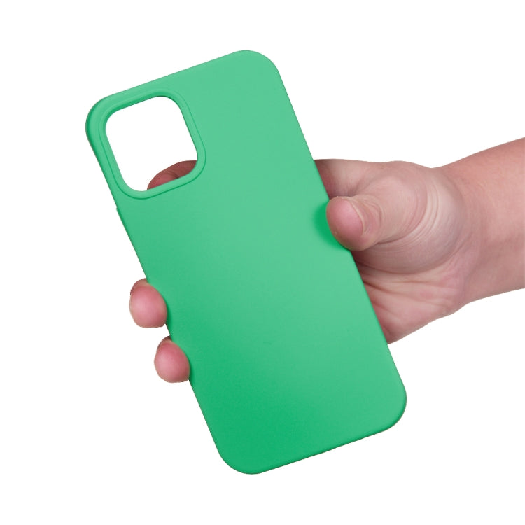 For iPhone 15 Plus Solid Color Silicone Phone Case(Green) - iPhone 15 Plus Cases by buy2fix | Online Shopping UK | buy2fix