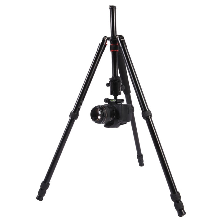 Triopo MT-2804C Adjustable Portable Aluminum Tripod with NB-2S Ball Head for Canon Nikon Sony DSLR Camera(Black) - Camera Accessories by TRIOPO | Online Shopping UK | buy2fix