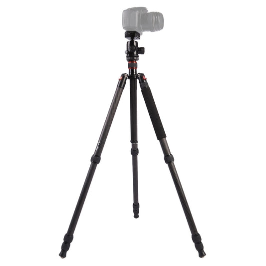 Triopo GT-2804X8.C Adjustable Portable Carbon Fiber Tripod with B-2 Aluminum Ball Head for Canon Nikon Sony DSLR Camera(Black) - Camera Accessories by TRIOPO | Online Shopping UK | buy2fix