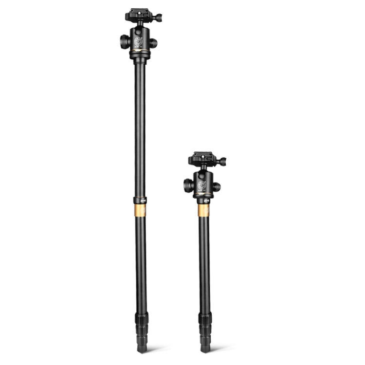 Q222 Portable 4-Section Folding Legs Aluminum Alloy Tripod Mount Monopod Holder with Ball Heads - Camera Accessories by buy2fix | Online Shopping UK | buy2fix