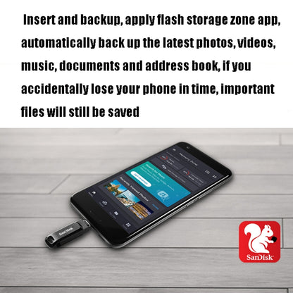SanDisk Type-C + USB 3.1 Interface OTG High Speed Computer Phone U Disk, Colour: SDDDC3 Black Plastic Shell, Capacity: 64GB - USB Flash Drives by SanDisk | Online Shopping UK | buy2fix